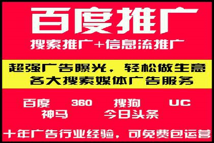 SEO与SEM优化案例：打造行业领先品牌